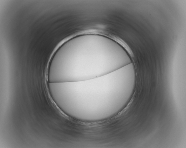 X0000114441436200910161043