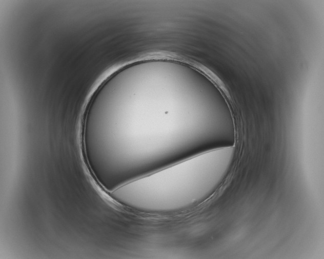 X0000114441438200910161043