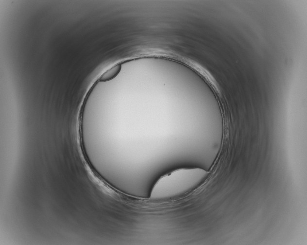 X0000114441439200910161043