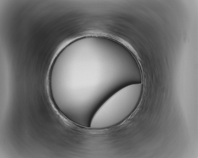 X0000114441440200910161043