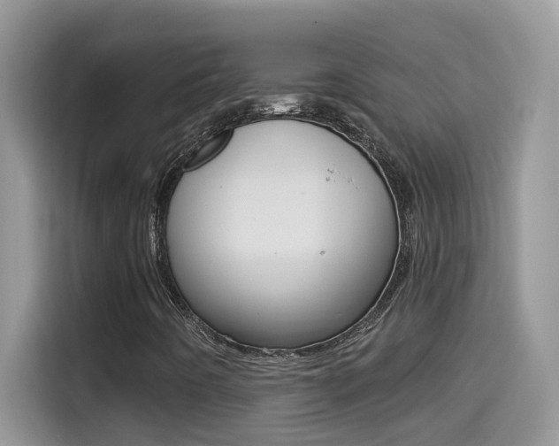 X0000114441442200910161042