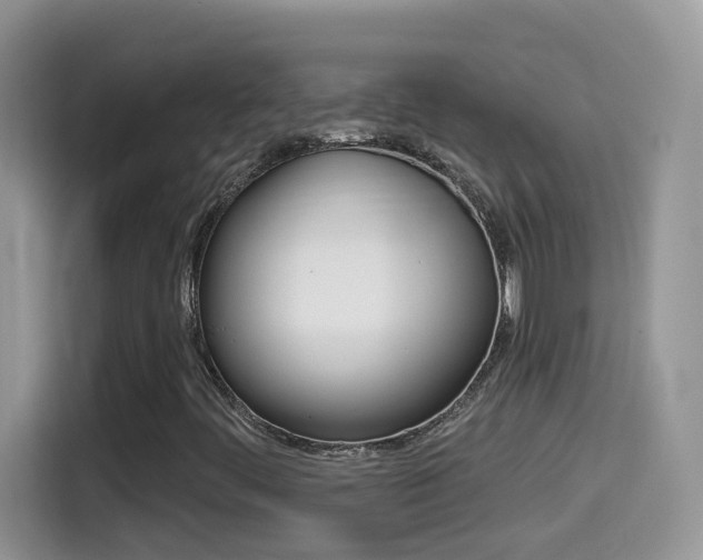 X0000114441444200910161042
