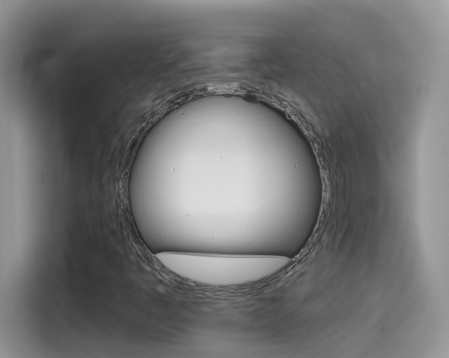 X0000114441445200910161042