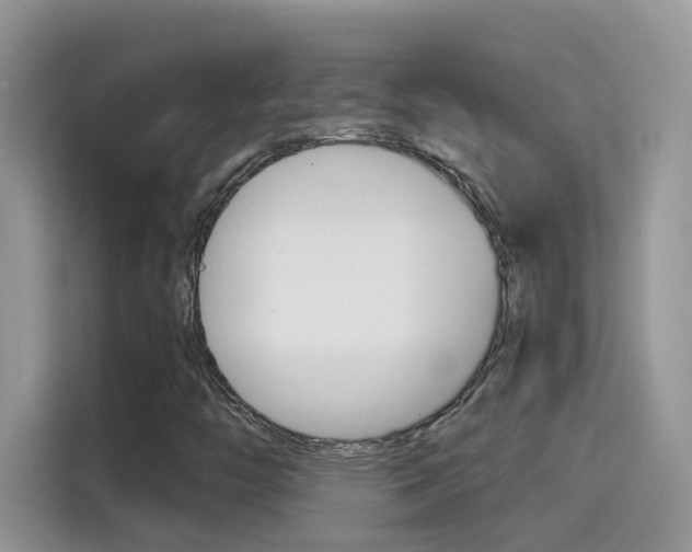 X0000114441446200910161042