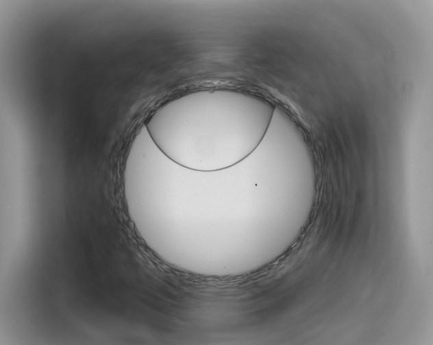 X0000114441447200910161042