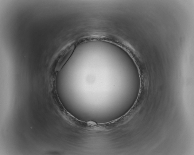X0000114441448200910161042