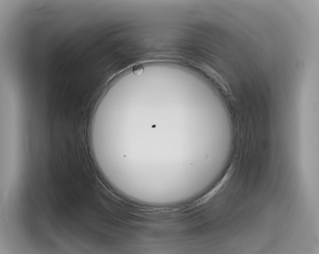 X0000114441449200910161042