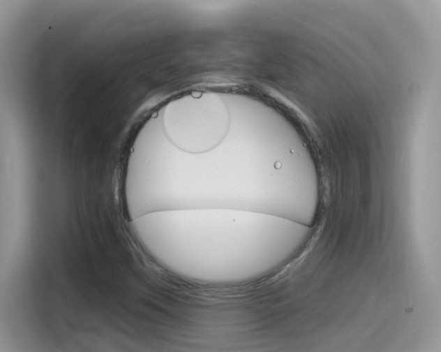 X0000114441451200910161042