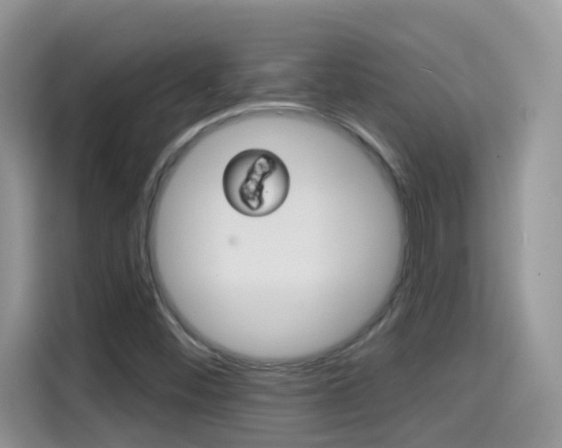 X0000114441452200910161042