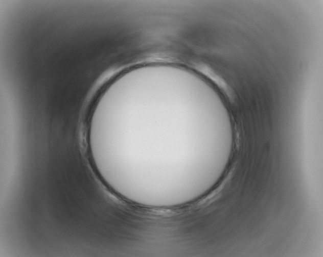 X0000114441454200910161042