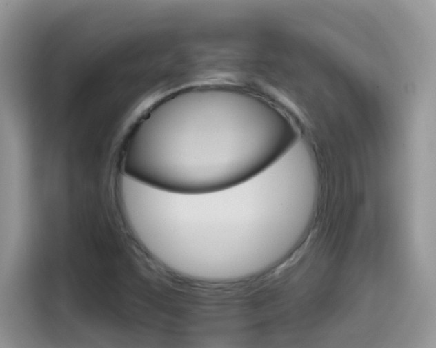 X0000114441455200910161042