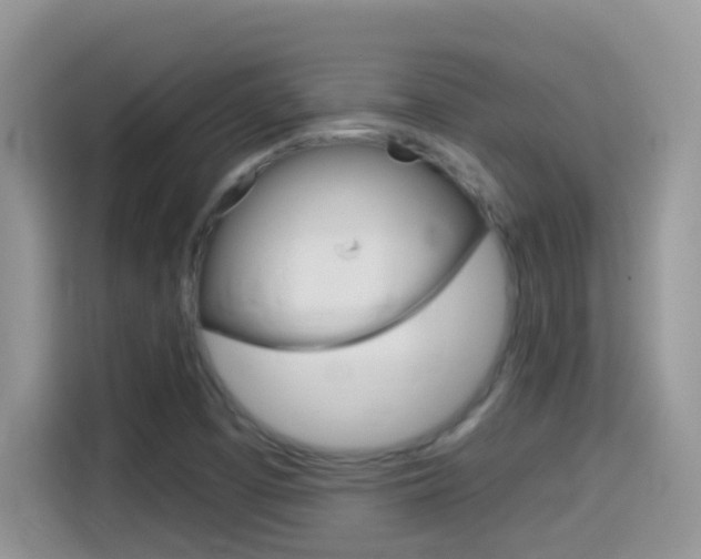 X0000114441457200910161042