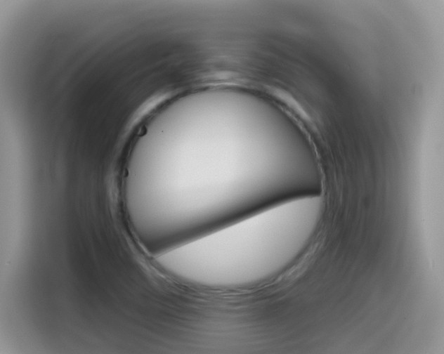 X0000114441458200910161042