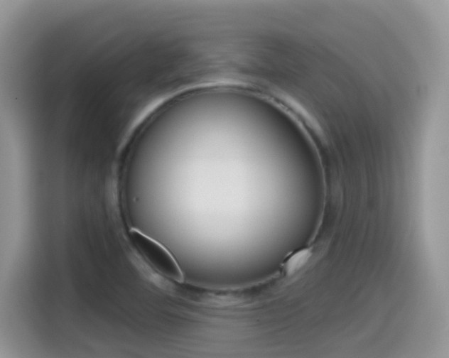 X0000114441460200910161042