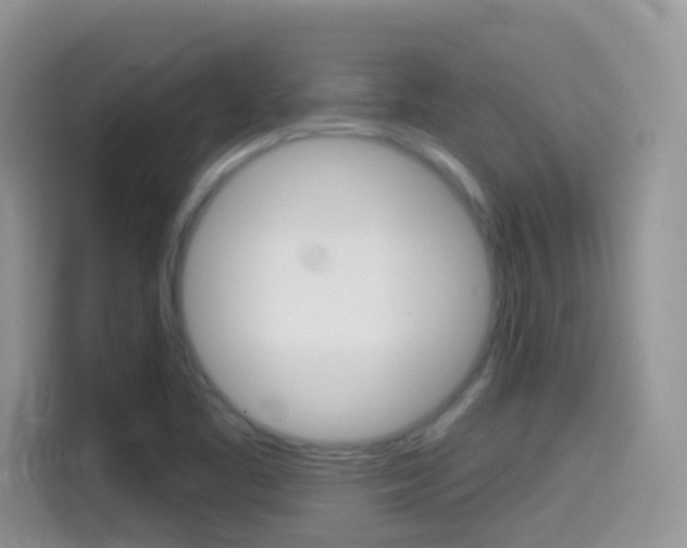 X0000114441461200910161042