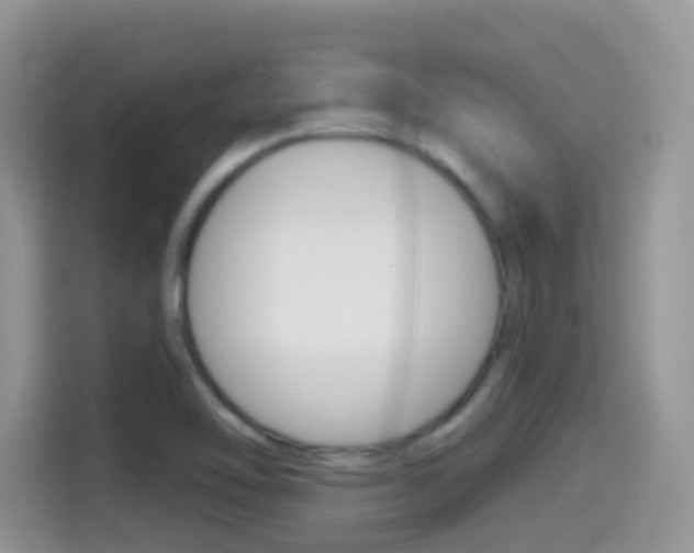 X0000114441462200910161042