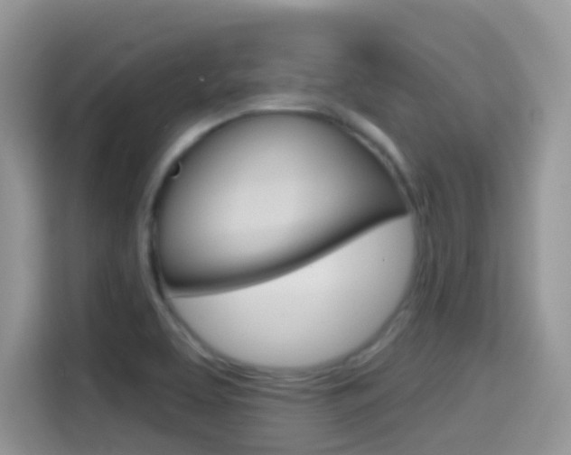 X0000114441463200910161042