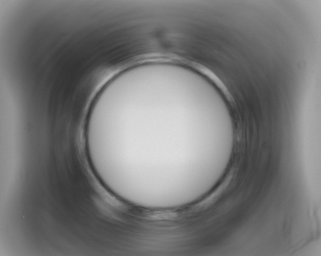 X0000114441466200910161042