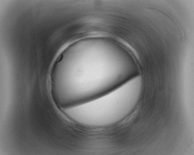 X0000114441467200910161042