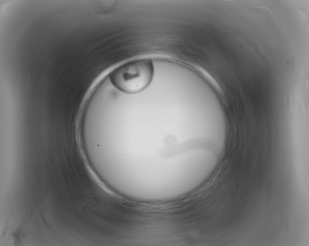 X0000114441468200910161042