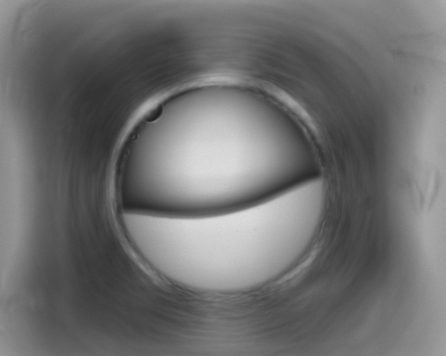 X0000114441469200910161042