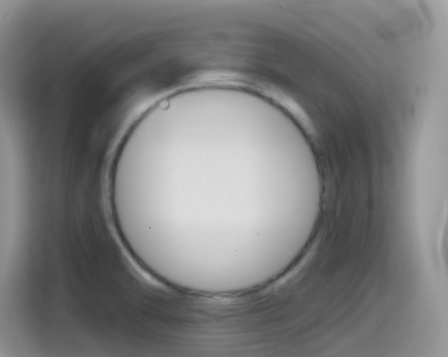 X0000114441470200910161042