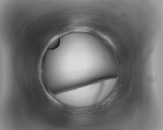 X0000114441471200910161042