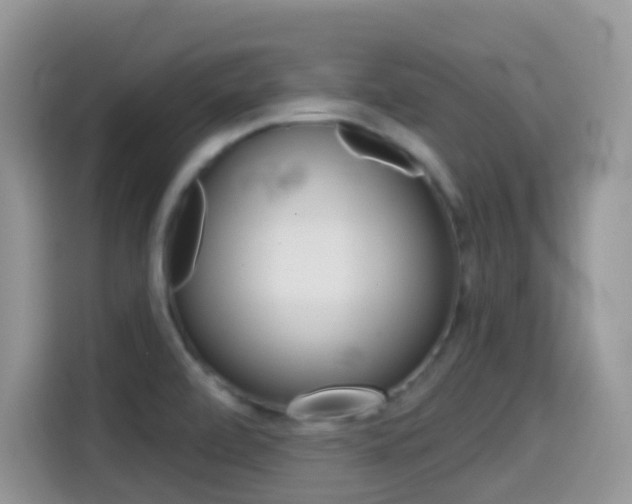 X0000114441472200910161042