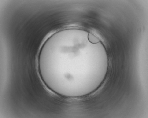 X0000114441474200910161042