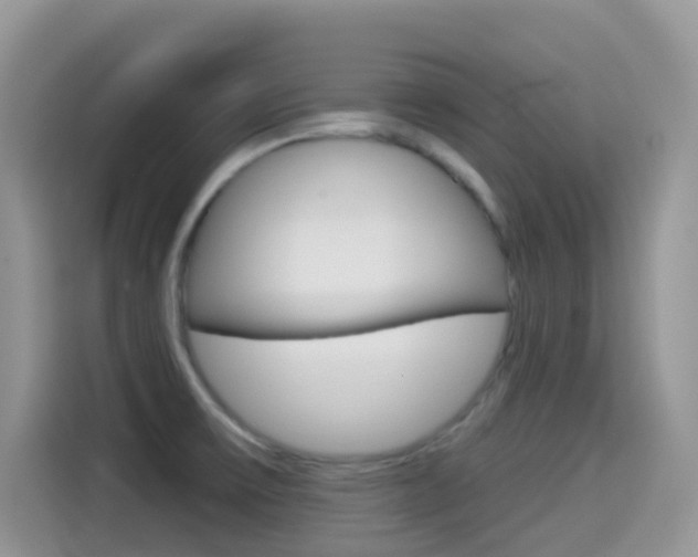 X0000114441475200910161042