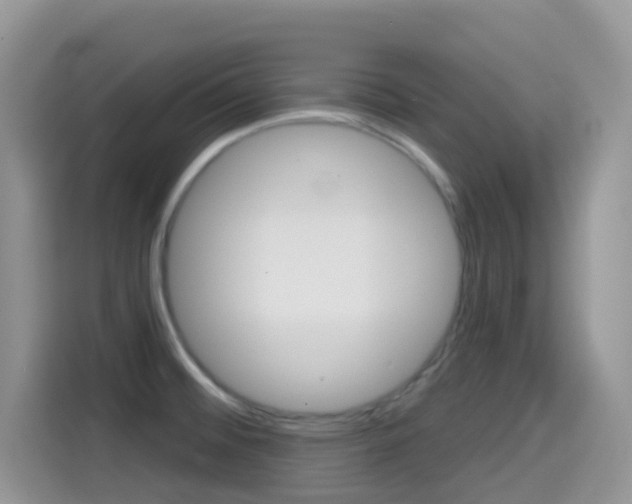 X0000114441476200910161042