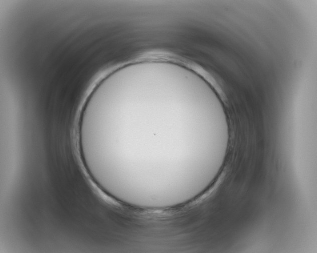 X0000114441478200910161042