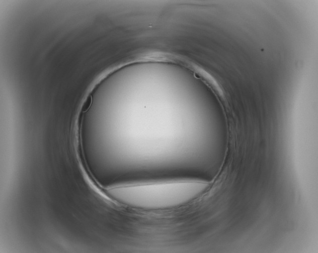 X0000114441479200910161042