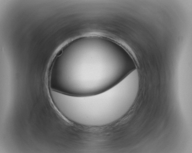 X0000114441480200910161042