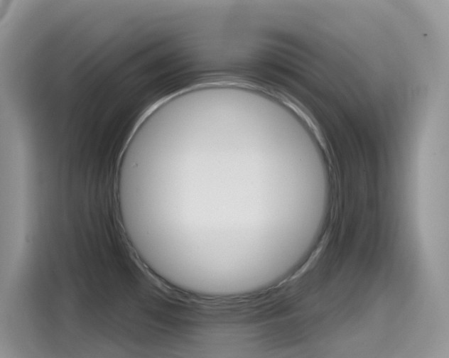 X0000114441481200910161042