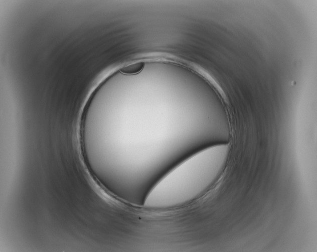 X0000114441482200910161042