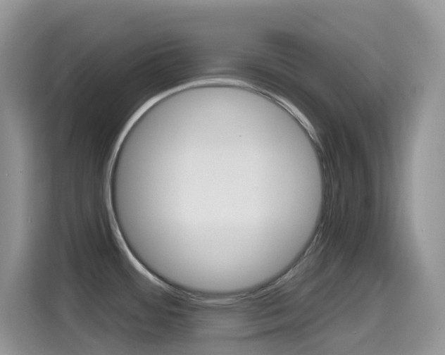 X0000114441484200910161042