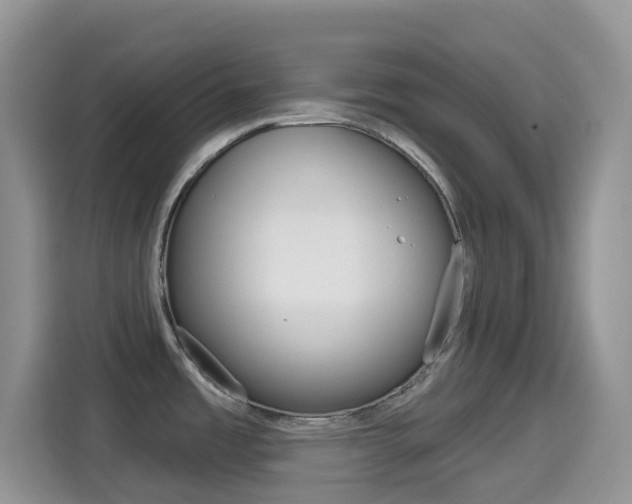 X0000114441485200910161042