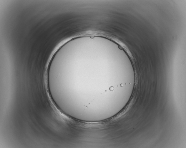 X0000114441486200910161042