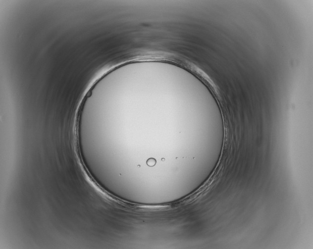 X0000114441487200910161042