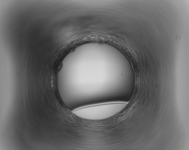 X0000114441490200910161041