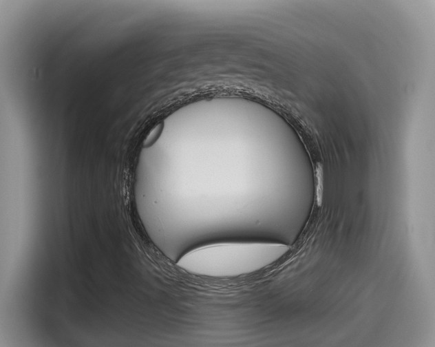 X0000114441491200910161041