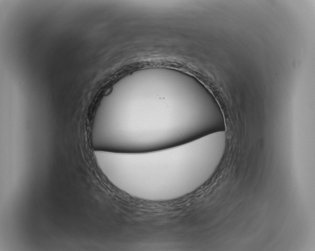 X0000114441493200910161041
