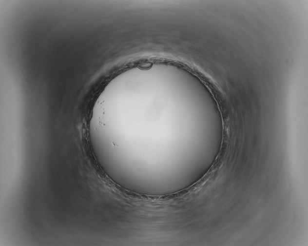 X0000114441495200910161041