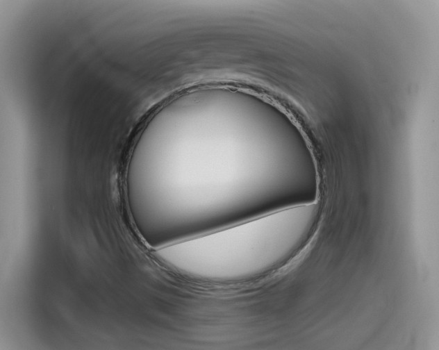 X0000114441497200910161041