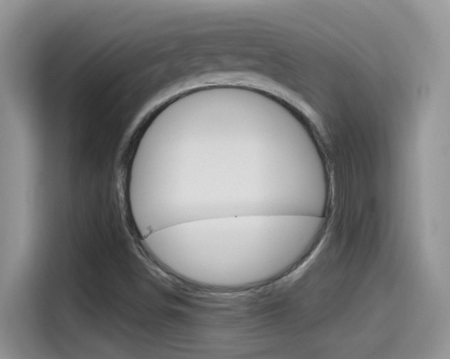 X0000114441498200910161041