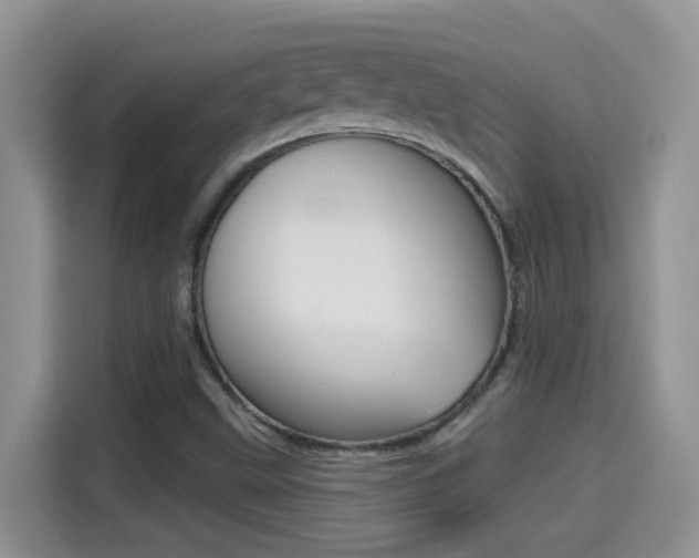X0000114441499200910161041