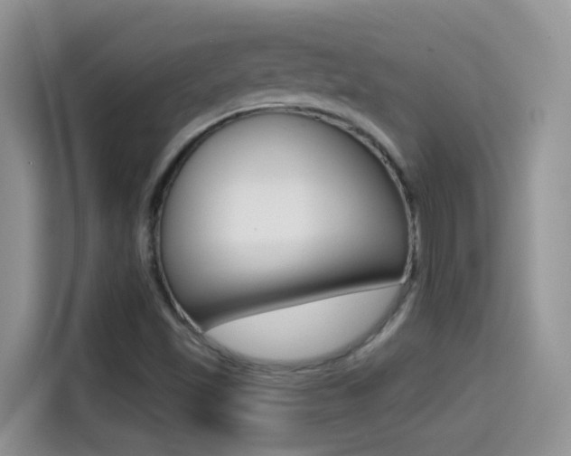 X0000114441501200910161041