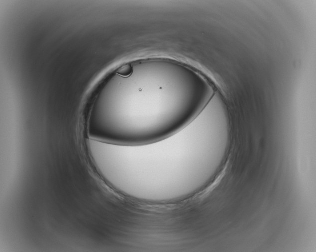 X0000114441502200910161041