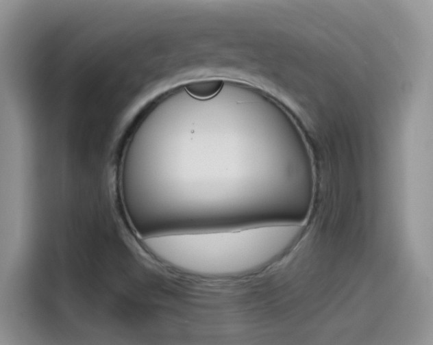 X0000114441503200910161041